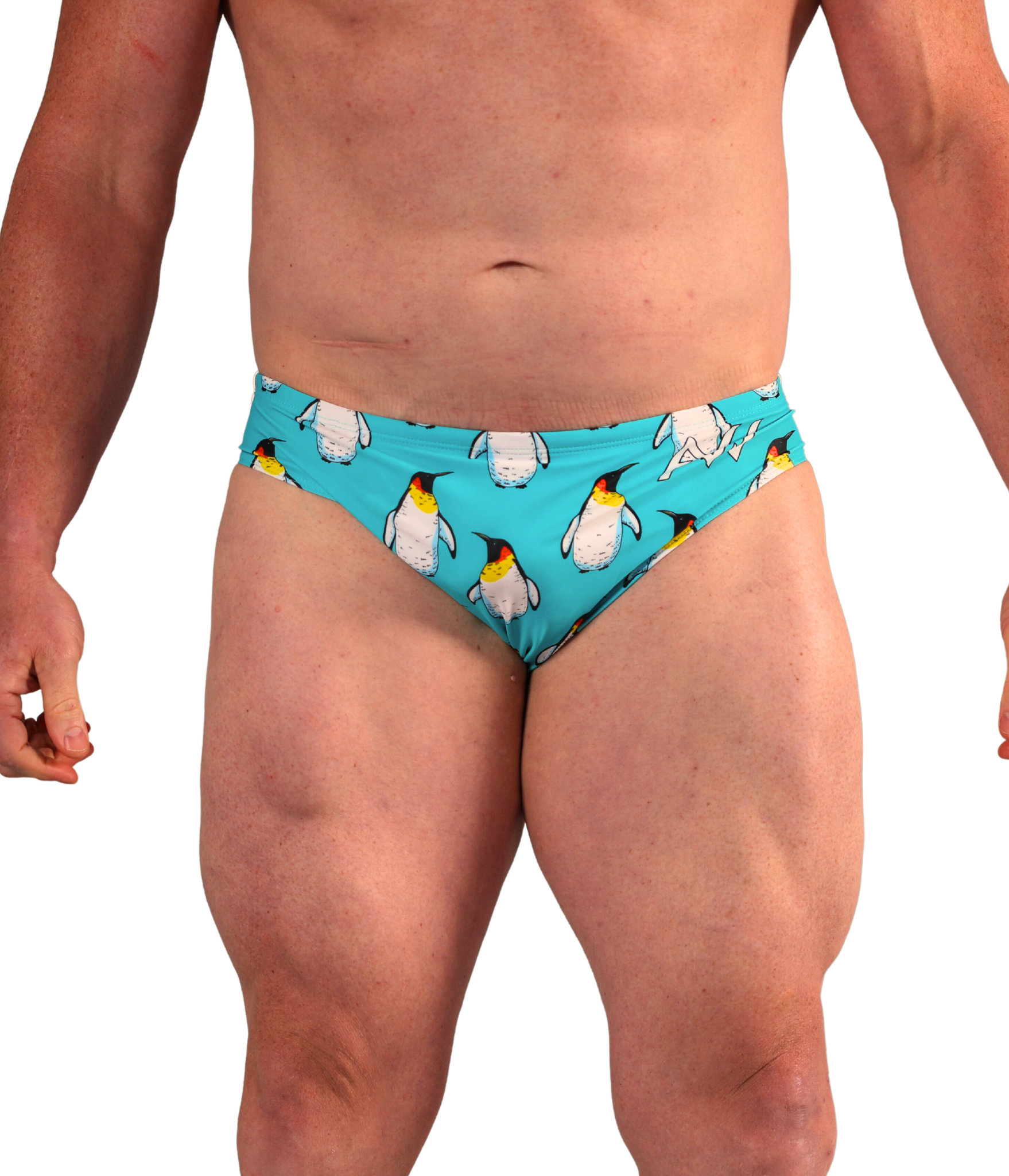 Men's Budgy Smugglers Penguin