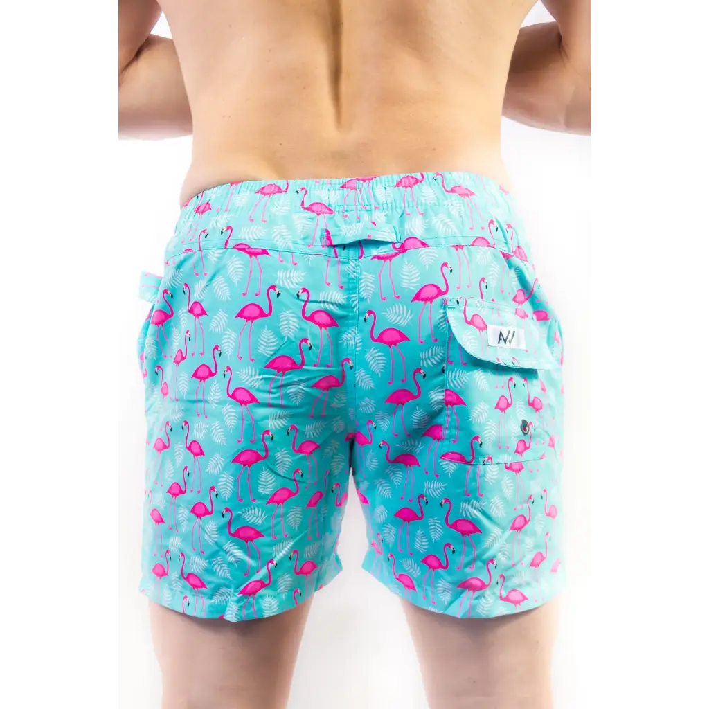 Men’s Flamingo Swim Shorts - Men’s Swim Shorts