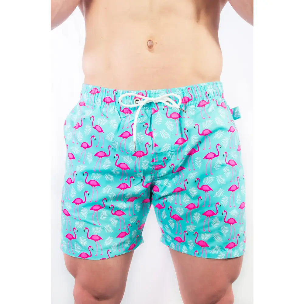 Men’s Flamingo Swim Shorts - Men’s Swim Shorts