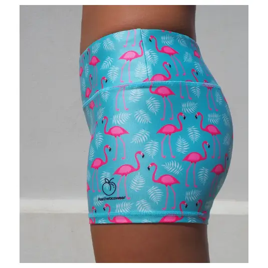 Women’s Flamingo Shorts - Booty Shorts