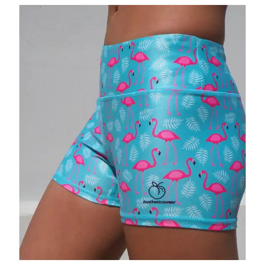 Women’s Flamingo Shorts - Booty Shorts